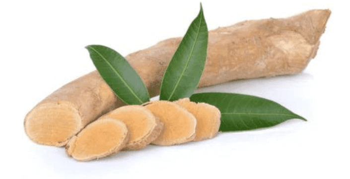 Kratom World Tongkat Ali malaysian ginseng