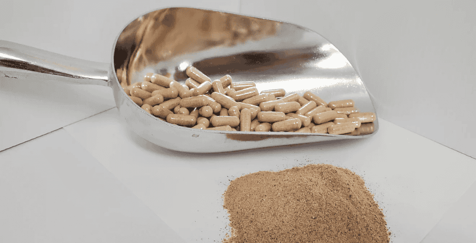 Akuamma: een minder bekend zaad met potentiële gezondheidsvoordelen