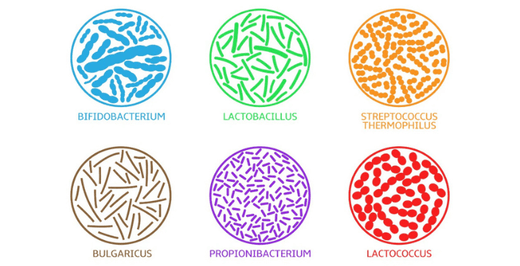 Probiotica: voordelen voor de gezondheid en darmflora