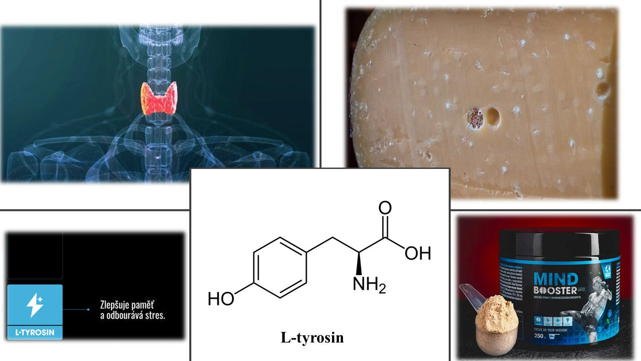 L-Tyrosin-Aminosäure – kratomworld