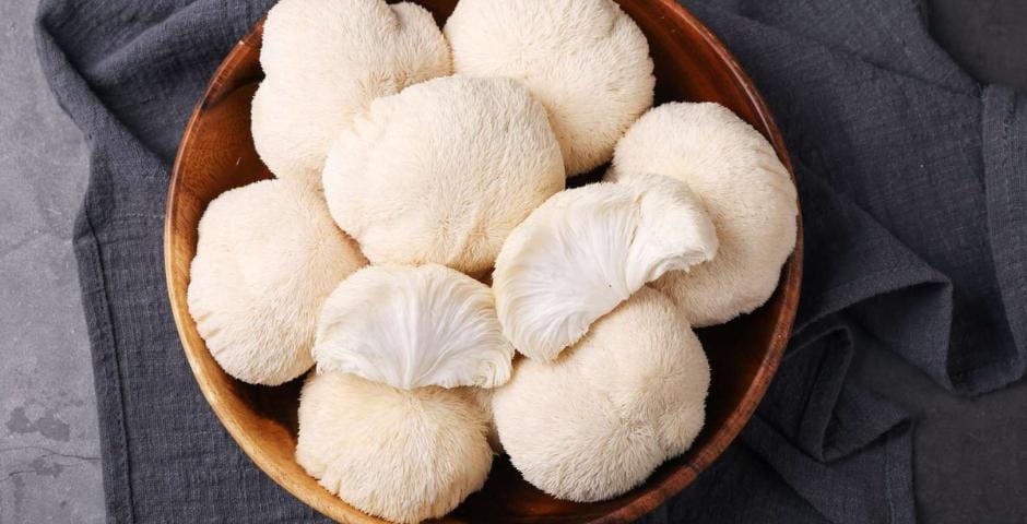 MindBooster en Focus Mushroom Blend: Hoe kun je je concentratie op natuurlijke wijze verbeteren?