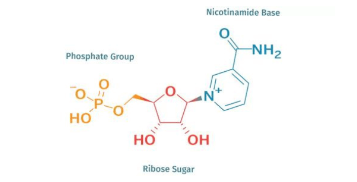 NMN - antiverouderings molecuul