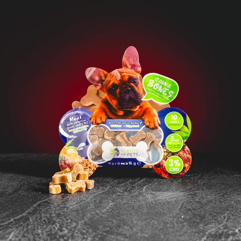 CBD huisdiertraktaties