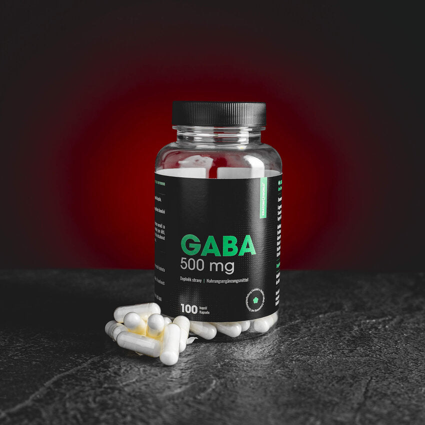 GABA 500mg capsules 100pcs