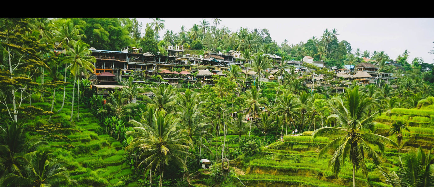 Best Kratom World Kratom Shop Deutschland Grün Weiß Rot Gold Kratom beste Qualität und Preis Farm Kratom