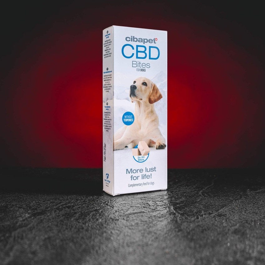 Premios de CBD para perros